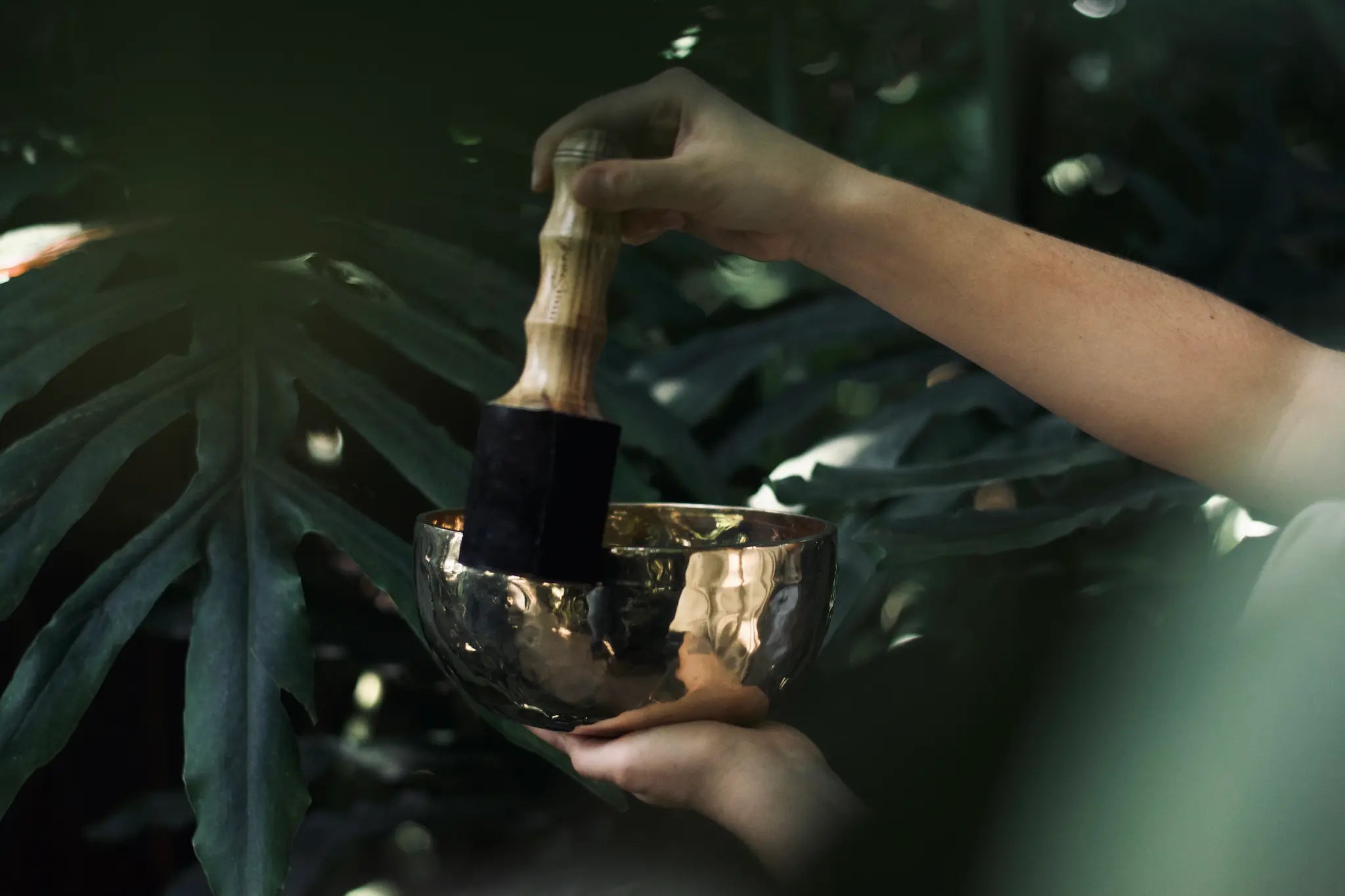 Sonner Sound Klangschale gespielt im Dschungel mit einem Reiber